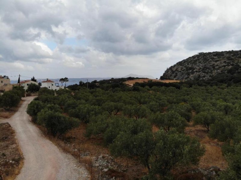 Agios Vasilis Kreta, Agios Vasilis: Erstklassiges Baugrundstück zum Verkauf mit Meer- und Bergblick Grundstück kaufen